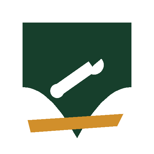 Ames Plumbing Pros logo